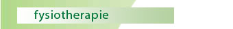 Fysiotherapie 